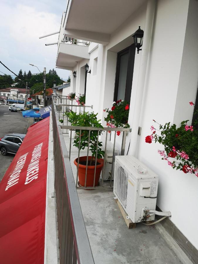 Pensiunea Mikelis International Curtea de Argeş Exterior foto